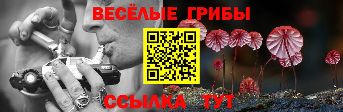 Псилоцибиновые грибы ЛСД Заречный
